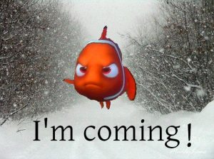 Nemo Meme #1