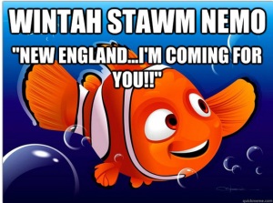 Nemo Meme #4